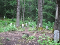 Gold Rush Cemetery